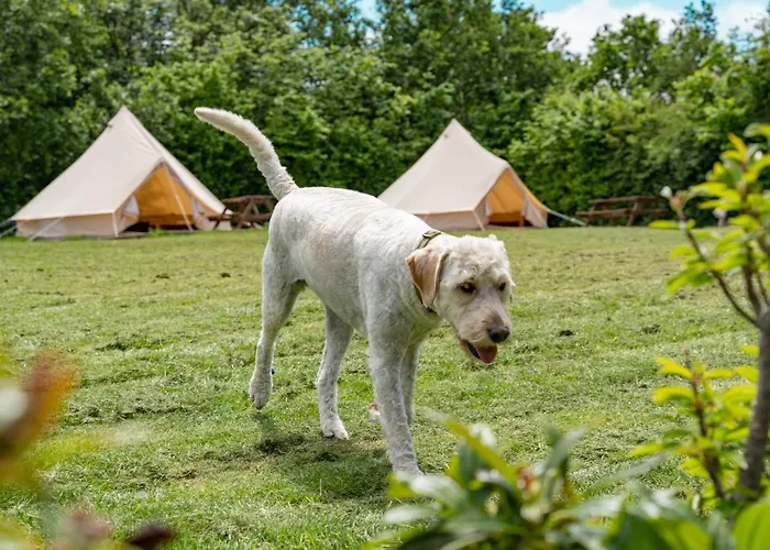 Bell Tent Glamping At Marwell Resort